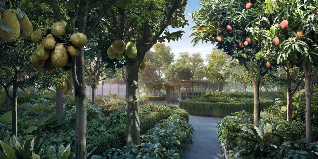 Artist's impression of the Tranquil Enclave fruit garden